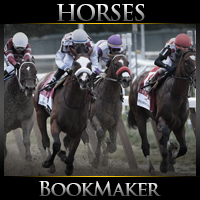 BookMaker.eu
