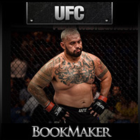 BookMaker.eu