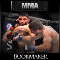 BookMaker.eu