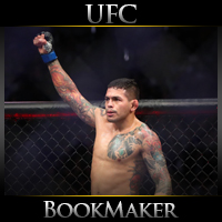 BookMaker.eu